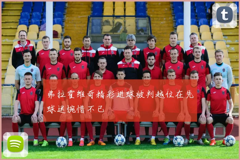 弗拉霍维奇精彩进球被判越位在先球迷惋惜不已