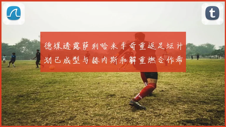 德媒透露萨利哈米季奇重返足坛计划已成型与赫内斯和解重燃合作希望
